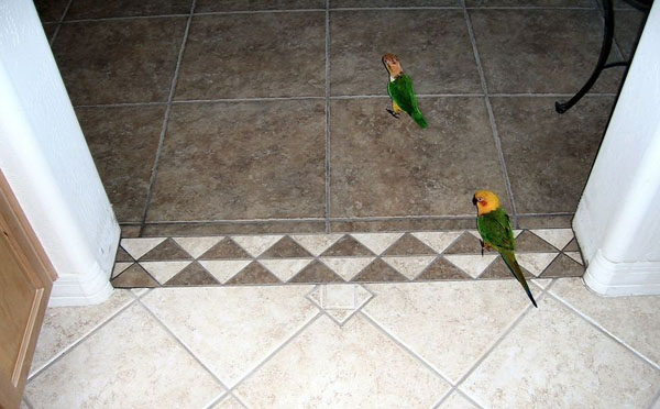 Connect The Existing Tile Flooring, How To Transition Tile