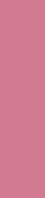 wild pink color