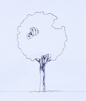 tree in elavtion, elevation of a tree, draw a tree, tree symbol, tree symbol elevation