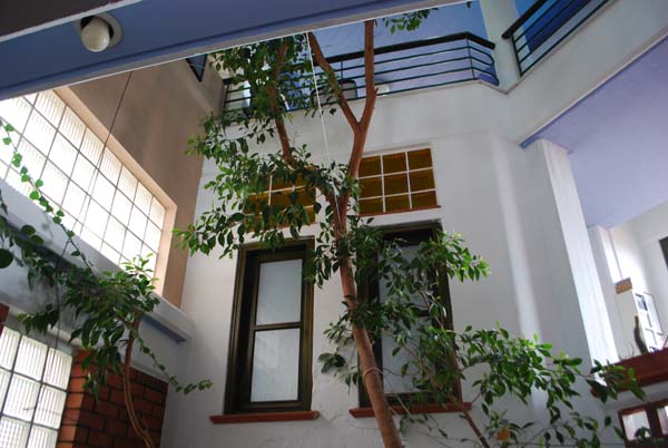 DSC 0903, residence atrium with a tree, glass blocks wall